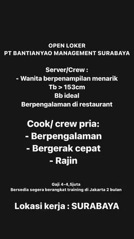 Server / crew / Cook