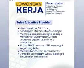 Sales Executive Provider