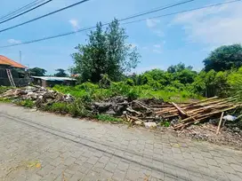 Tanah Cendrawasih Munggu Kediri tabanan