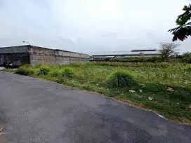 Tanah Palagan View Sawah SHM Pekarangan Dekat Kampus UII