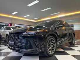 DP10% [Km19.000] RX350h Hybrid 2023 Black / RX300 Reg 2022 #AUTOHIGH