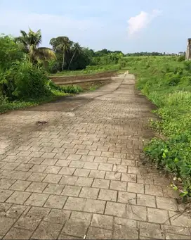 Kapling View Sawah utk VILLA di Nyitdah Kedungu