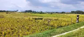 3850 sqm land with idyllic natural surroundings for sale in Tabanan