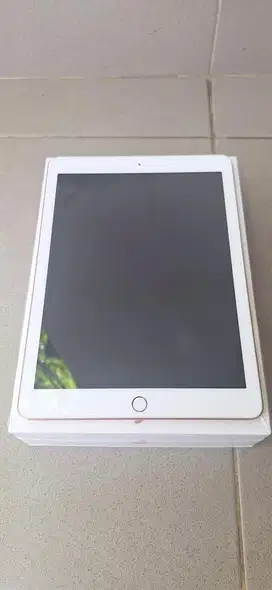 iPad 6th gen ( wifi only )