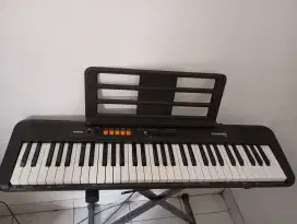 Casio CTS100/Casiotone