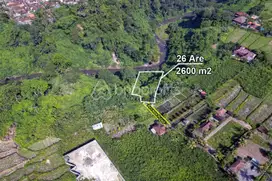 Tanah SHM di Tepi Sungai Bliss: Rancang Rumah Impian di BalI -BSLF195