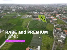 DIJUAL CEPAT TANAH KAVLING LOKASI CANGGU - KULIBUL PADONAN