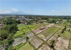 130 Mtr Jalan Raya Degolan, Pemandangan Sawah dan Merapi