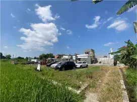 400 Mtr Jl Solo - Jogja, Peruntukan Rumah, View Sawah