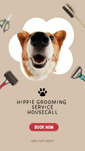 Jasa grooming anjing dan kucing housecall