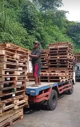 Jual palet kayu murah