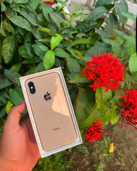 Iphone xs 256 gb fullset kemenperin