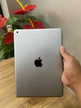 iPad Gen 6 128gb ibox