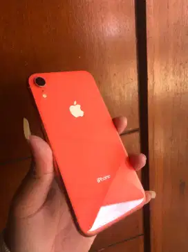 IPhone Xr 64Gb Nominus