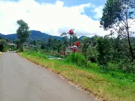 DIJUAL TANAH KEBUN KOPI PINGGIR SUNGAI