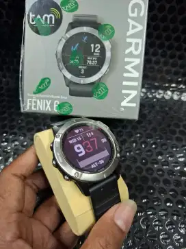 Garmin Fenix 6 Silver