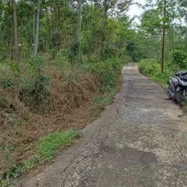 Tanah bagus harga murah meriah nempel jalan cocok untuk bikin villa