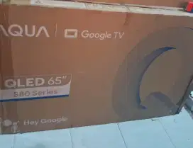 TV Google 65 Inchi