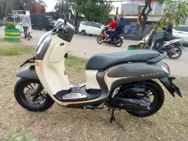 Honda new scoopy sporty 2024