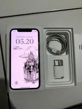 iPhone X 256GB Beacukai