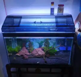 Tutup Aquarium Kaca 60x30