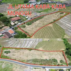 jl kaba kaba munggu!! 48.5 are tanah di jual