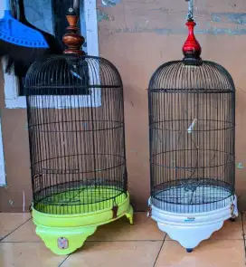 Kandang burung Lovebird