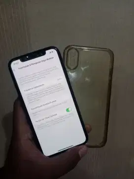 Iphone X 256gb ex inter fullshet nominus