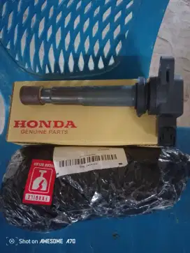 Ignatium coil honda