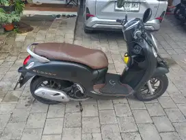 Honda Scoopy 2024