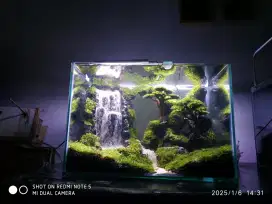 Aquarium fullset