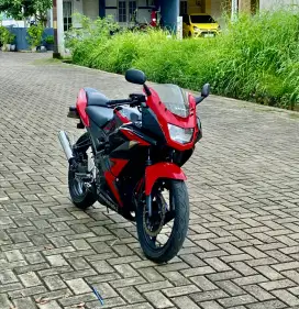 Ninja RR new 2014