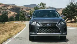 Front Grill Lexus RX350/RX200t Diamond & FSport Facelift 2014 & 2022