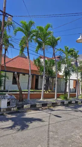 Rumah Sewa Siap Huni Darmo Baru Barar