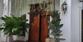 Rumah Cantik  Jogja