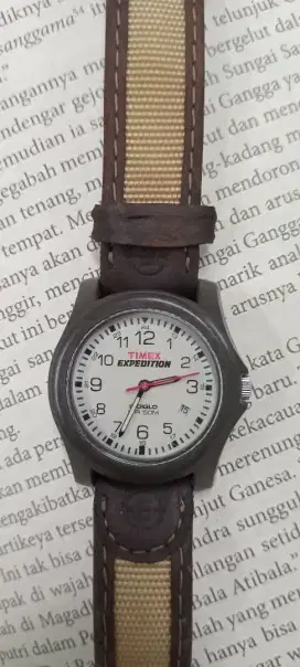 Timex Expedition Indiglo