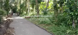 Dijual Tanah Murah Luas 18 Are View Hutan  Dipayangan Ubud