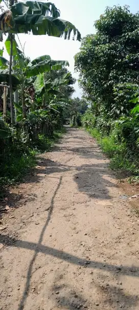 Dijual lahan 786 meter udara sejuk