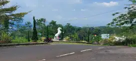 Ledug Patung kuda,Tretes. komersial area,