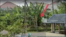 Dijual Tanah Murah Taman Pondok Jati Sidoarjo