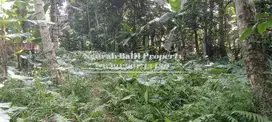 Disewakan Tanah Murah Luas 7  Are View Jungle di Kelusa Payangan