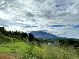 Tanah di Megamendung Puncak Bogor View Gunung