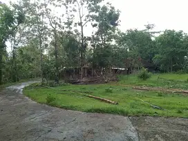 Tanah dijual  550 m2 dekat wisata Sosok  Plered Bantul Yogyakarta