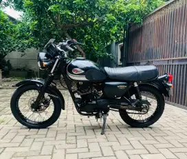 Kawasaki w175 se 2019