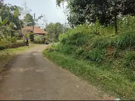 Tanah murah tepi jalan aspal cocok untuk tanam buah buahan