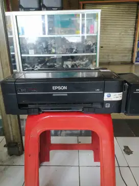 Printer Epson L.310