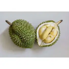 Dicari pegawai jaga booth es durian