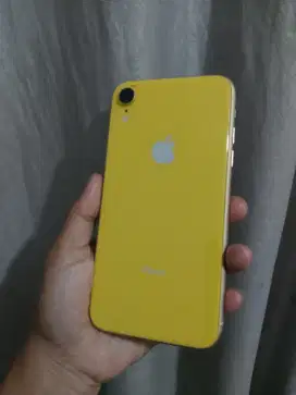 iPhone XR 128 inter