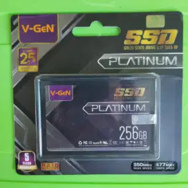 SSD V-GeN Platinum 256gb