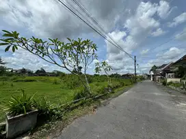 Tanah Murah Jl Damai Kaliurang Sleman, Lingkungan Homestay